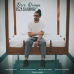 دانلود آهنگ رضا شاه میری دور دنیا